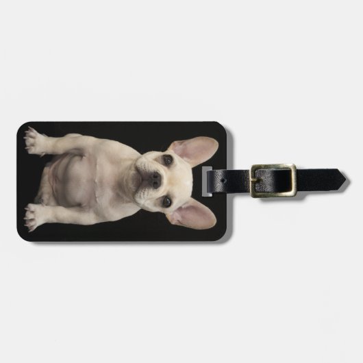 Roomkleurige Franse bulghpuppy Bagagelabel (Voorkant horizontaal)
