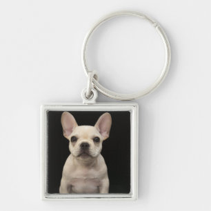 Roomkleurige Franse bulghpuppy Sleutelhanger