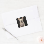 Roomkleurige Franse bulghpuppy Vierkante Sticker (Envelop)