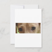 roomogen bedankkaart (Voorkant)