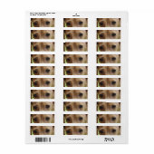 roomogen etiket (Full Sheet)