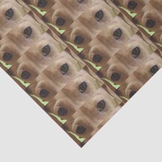 roomogen tissuepapier (Detail)