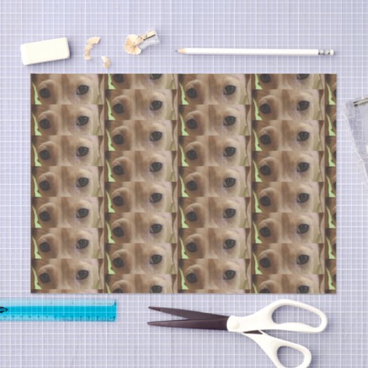 roomogen tissuepapier (Craft)