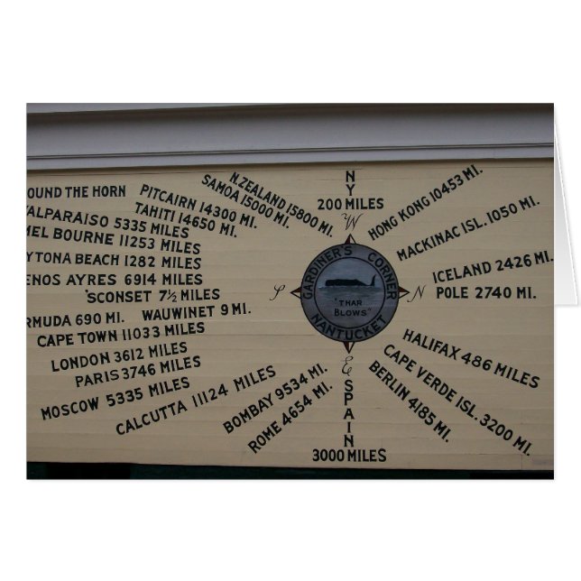 Roos (Voorkant Horizontaal)