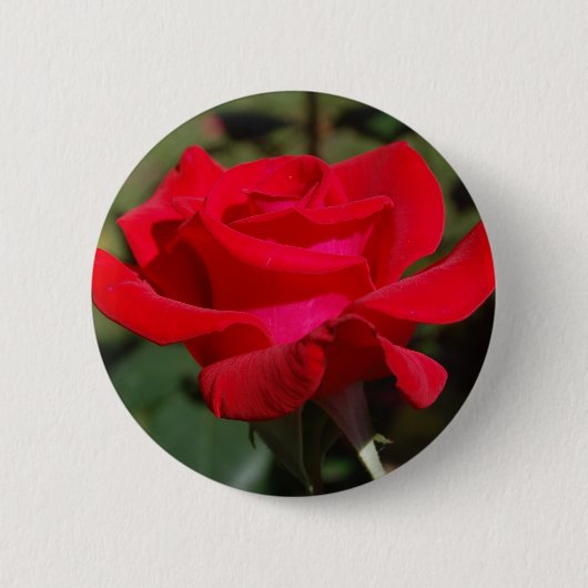 Roos03 Ronde Button 5,7 Cm (Voorkant)