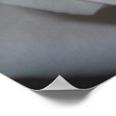 Roos 13 poster (Hoek)