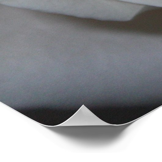 Roos 13 poster (Hoek)