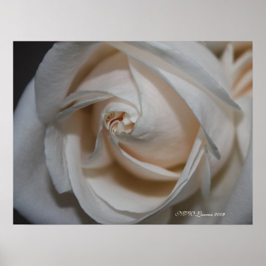 Roos 13 poster (Voorkant)