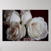 Roos 15 poster (Voorkant)