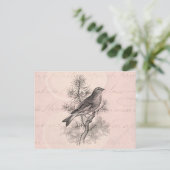  Roos 1800 Linnet Song Bird Finch Birds Briefkaart (Staand voorkant)