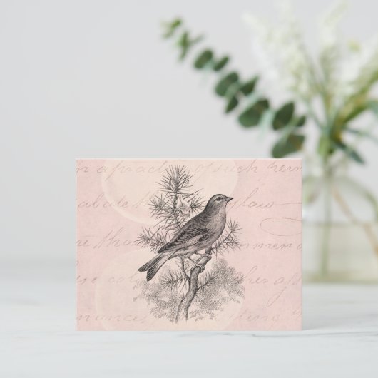 Roos 1800 Linnet Song Bird Finch Birds Briefkaart (Staand voorkant)