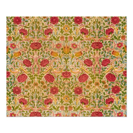 Roos, 1883 door William Morris Foto Afdruk (Voorkant)