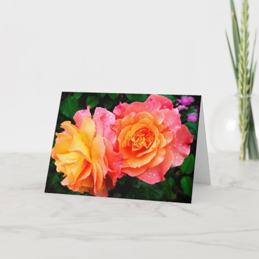 Roos 1 Blanco briefkaart (Voorkant)