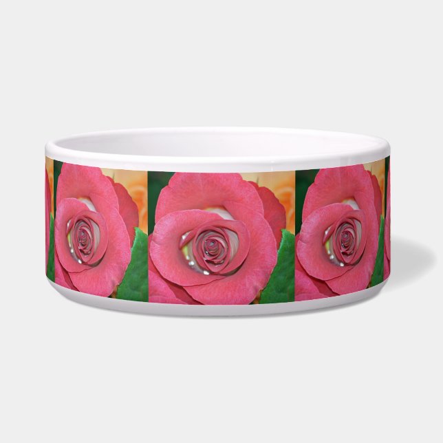 Roos_2015_0411 Voerbakje (Voorkant)