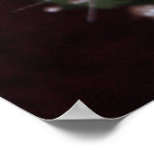 ROOS 2 POSTER (Hoek)