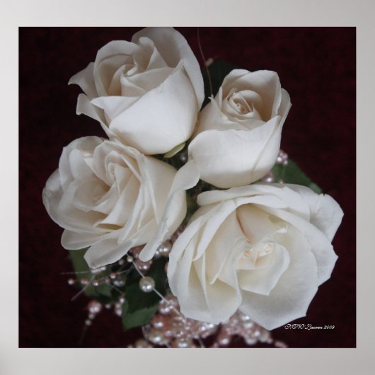 ROOS 2 POSTER (Voorkant)