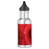 ROOS 2 WATERFLES (Links)