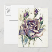 ROOS 3 BRIEFKAART (Voorkant / Achterkant)