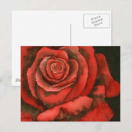 ROOS 3 BRIEFKAART (Voorkant / Achterkant)