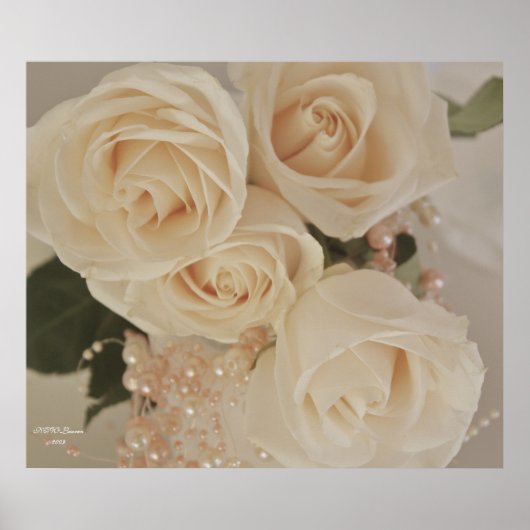 ROOS 3 POSTER (Voorkant)