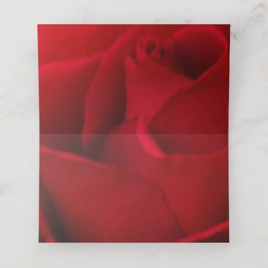 Roos 40e Ruby jubileum plaatskaarten Plaatskaartje (Binnenkant ongevouwen)