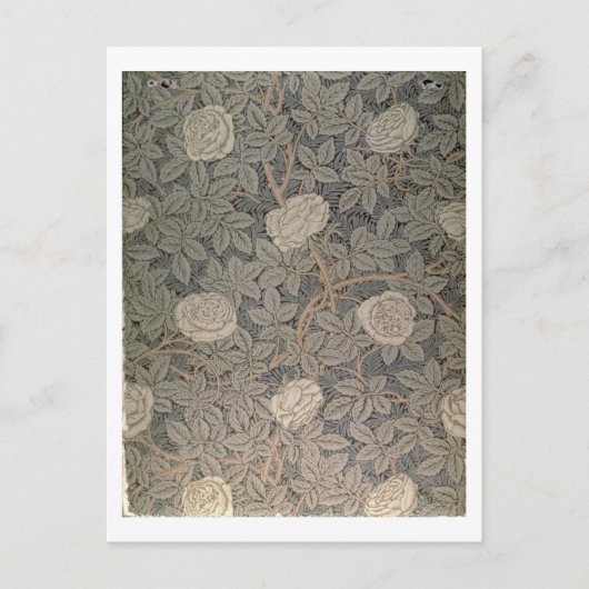 'Roos-90'-mapontwerp Briefkaart (Voorkant)