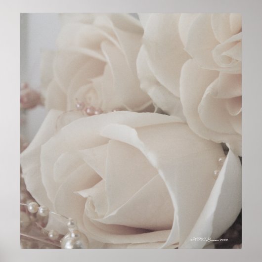 ROOS 9 POSTER (Voorkant)