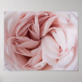 Roos afdrukken | Bloemwandkunst Poster (Voorkant)