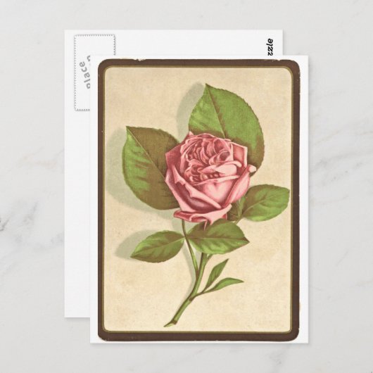  Roos afdrukken Briefkaart (Voorkant / Achterkant)