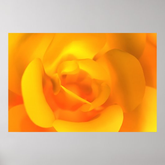 Roos afdrukken in kartelvorm poster (Voorkant)