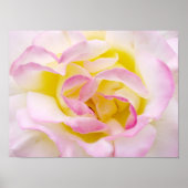 Roos afdrukken poster (Voorkant)