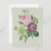 Roos, anemon en Clematide Briefkaart (Voorkant / Achterkant)