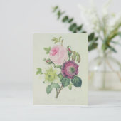 Roos, anemon en Clematide Briefkaart (Staand voorkant)