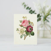 Roos, Anemone en Clematis door Pierre-Joseph Redou Briefkaart (Staand voorkant)