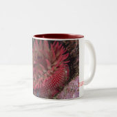 Roos Anemone Tweekleurige Koffiemok (Voorkant rechts)