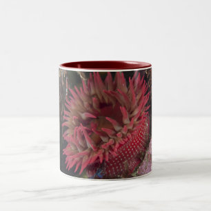 Roos Anemone Tweekleurige Koffiemok