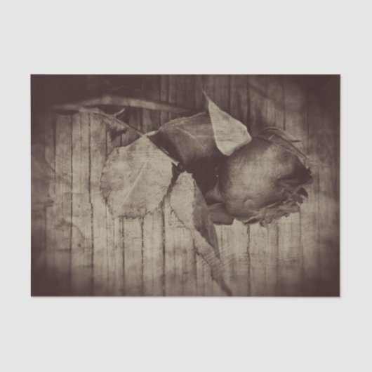 Roos  Antiek Sepia Brown ontleepingspagina Tissuepapier (Voorkant)