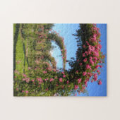 Roos Arches - Elizabeth Park Garden Hartford CT Legpuzzel (Horizontaal)