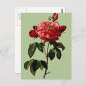 Roos Art. Briefkaart (Voorkant / Achterkant)