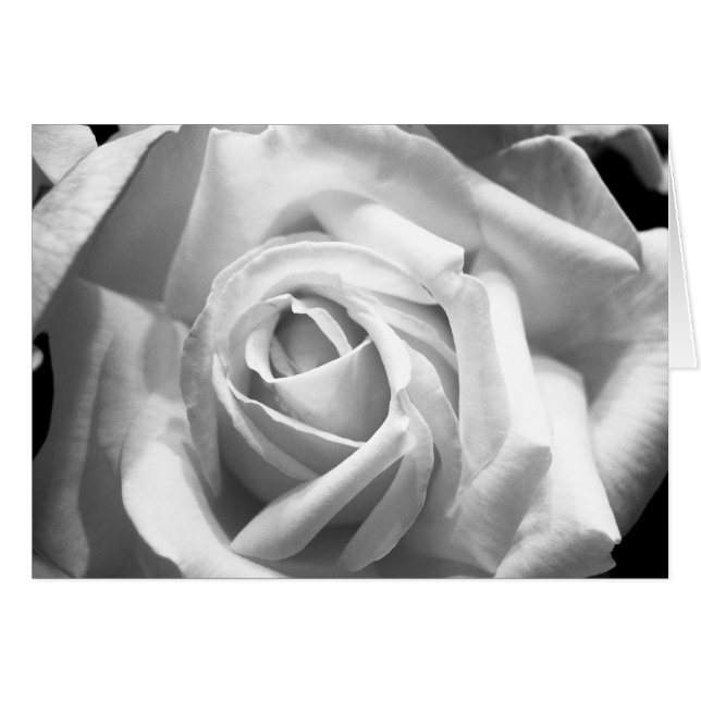 Roos B/W-kaart (Voorkant Horizontaal)