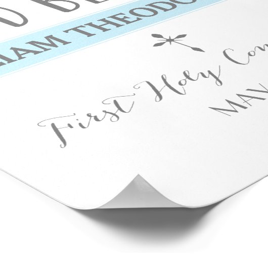 Roos banner | Blauwcommunautair teken Poster (Hoek)