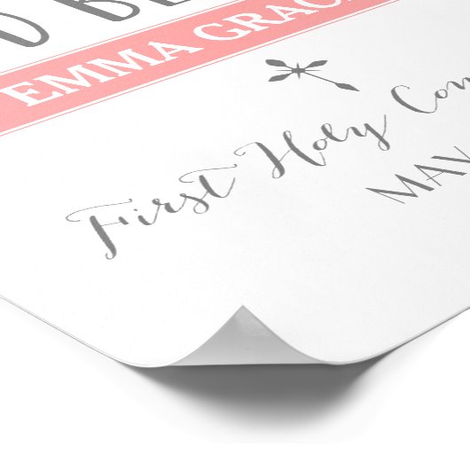 Roos banner | Roze communautarisering Poster (Hoek)