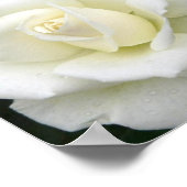 Roos Betekenis Poster afdrukken (Hoek)