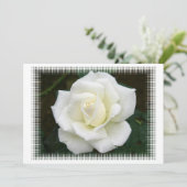 Roos Betekenis Uitnodiging (Staand voorkant)