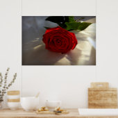 roos bij schemering poster (Keuken)