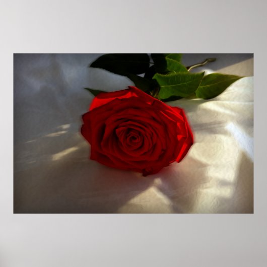 roos bij schemering poster (Voorkant)