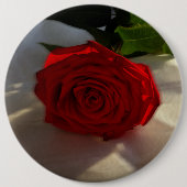 roos bij schemering ronde button 6,0 cm (Voorkant)