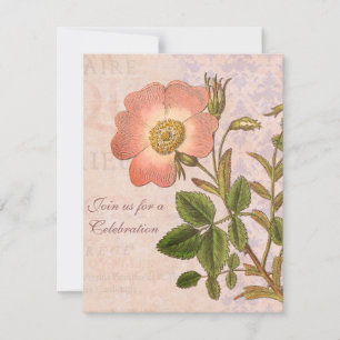  Roos Birthday Party Invitation Kaart