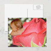 Roos Bloem Baby Briefkaart (Voorkant / Achterkant)
