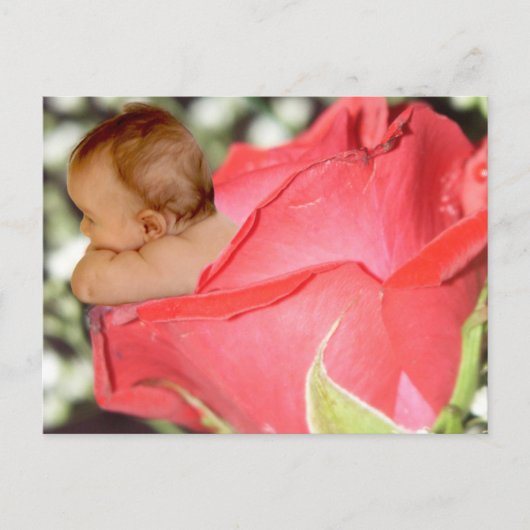 Roos Bloem Baby Briefkaart (Voorkant)